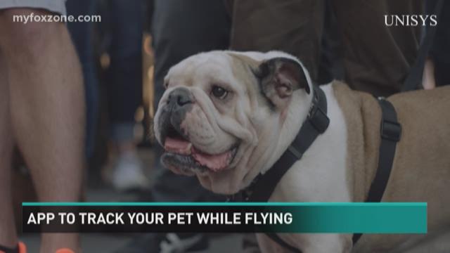 Digi-Pet app tracks your pet while flying